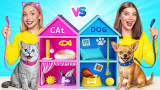 Construimos Minicasas para Mascotas | Desafío Loco Multi DO Smile