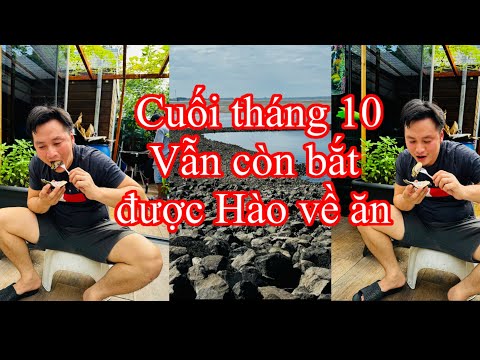 Cuối tháng 10 , ở Hà Lan 🇳🇱 vẫn đi bắt Hào được bình thường