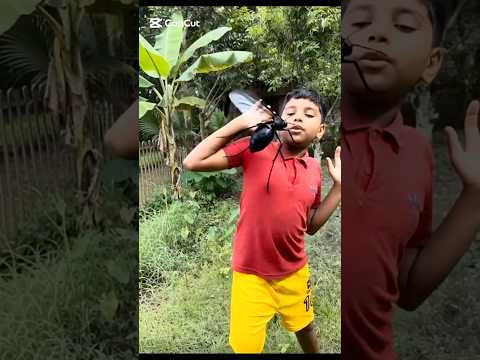 Mosquito repellent skills #camping #bushcraft #survival #sentopro#facts #lifehacks #ideas #creative
