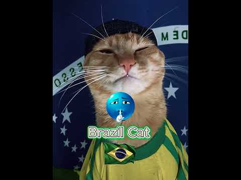Cats Country PT2 🐈🚩 #shorts #cat #nationality #viral #trolledit #tranding #edit #catshorts #foryou