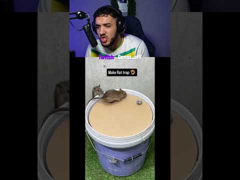 piège à souris