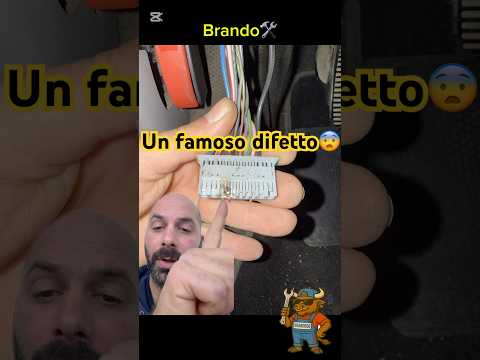 Una Panda da BRIVIDO!