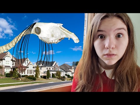 LONG HORSE SCARIER THAN SIREN HEAD!