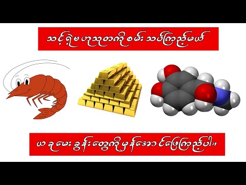 ပုဇွန်ရဲ့ အသဲနှလုံးက ပုဇွန်တွေရဲ့ မည်သည့်နေရာမှာ ရှိသလဲ စတဲ့ ဉာဏ်စမ်းမေးခွန်းများကို ဖြေကြည့်ပါ