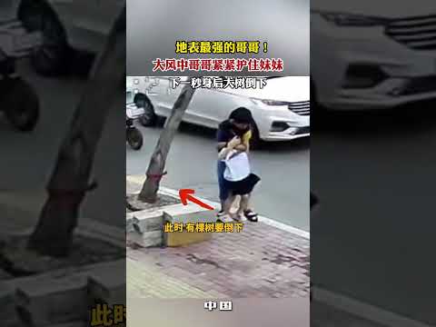 地表最强的哥哥！大风中哥哥紧紧护住妹妹，下一秒身后大树倒下 #感动 #暖心 #兄妹情深