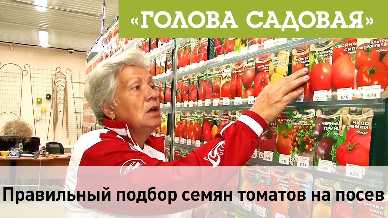 Правильный подбор семян томатов на посев