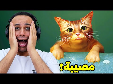 مغامرات قطة | Stray !! 😸🐈