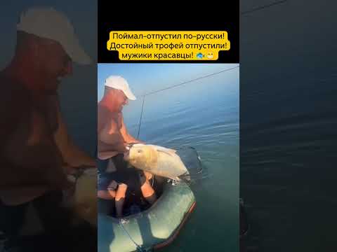 А вы отпускаете трофейную рыбу? 😁🐟#рыбалка #трофей #поймалотпусти