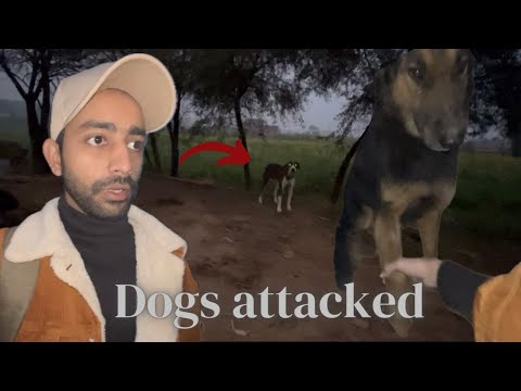 Village explore || Dogs ne attack kardia😱|| saadhassanetc #vlogs