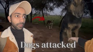 Village explore || Dogs ne attack kardia😱|| saadhassanetc #vlogs