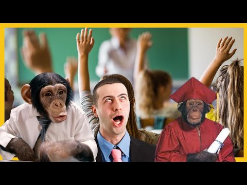 ANALFABETISMO funcional ATINGE 3 a cada 10 BRASILEIROS: O que fazer diante do FRACASSO?
