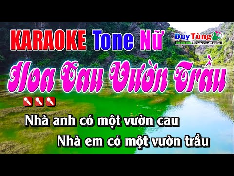 Karaoke || Hoa Cau Vườn Trầu – Tone Nữ  || Nhạc Sống Duy Tùng