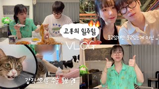 ENG)[동거커플] 멘탈 박살난 고통의 일주일vlog🥵| 한 여름에 에어컨 고장..? 폭염 생존기 | 갑작스런 고양이 병원 방문