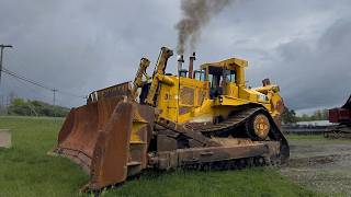 Taking a Big Gamble at the Ritchie Bros Auction.