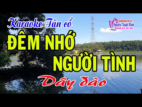 Karaoke tân cổ ĐÊM NHỚ NGƯỜI TÌNH – DÂY ĐÀO