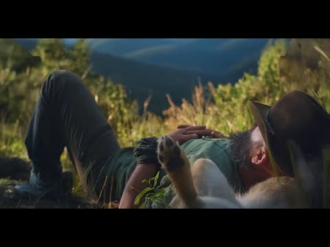 Calm in the Forest — Tent, Dogs, Sunset, and Cooking Underground