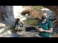 Sea Otter Awareness and Ecosystem Roles