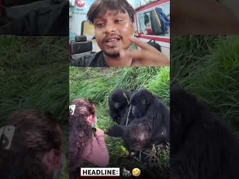 एक बार ये वीडियो पूरादेखें