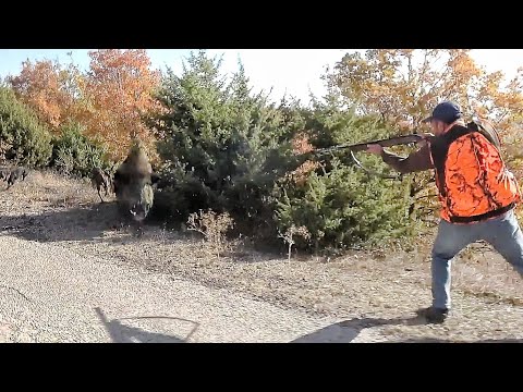 TOP 10 / Muhteşem Yaban Domuzu Avları / Spectacular Boar Hunting Top 10