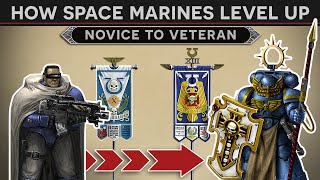 How Space Marines Level Up? - From Novice to Veteran [999.M41] 3D Documentary