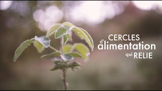 Alimentation qui relie : lien entre alimentation et système nerveux @jeclicnaturel