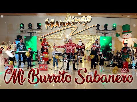 Mandingo - Mi Burrito Sabanero [ Video 1 ]