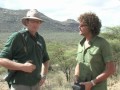Zebra Conservation and Research Challenges