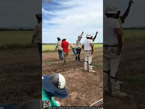 Pipe k ander se bad smel ( 🎥_@eldel956) Skunk🦨