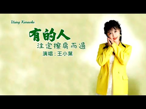 有的人注定擦肩而過-王小葉-伴奏 KARAOKE