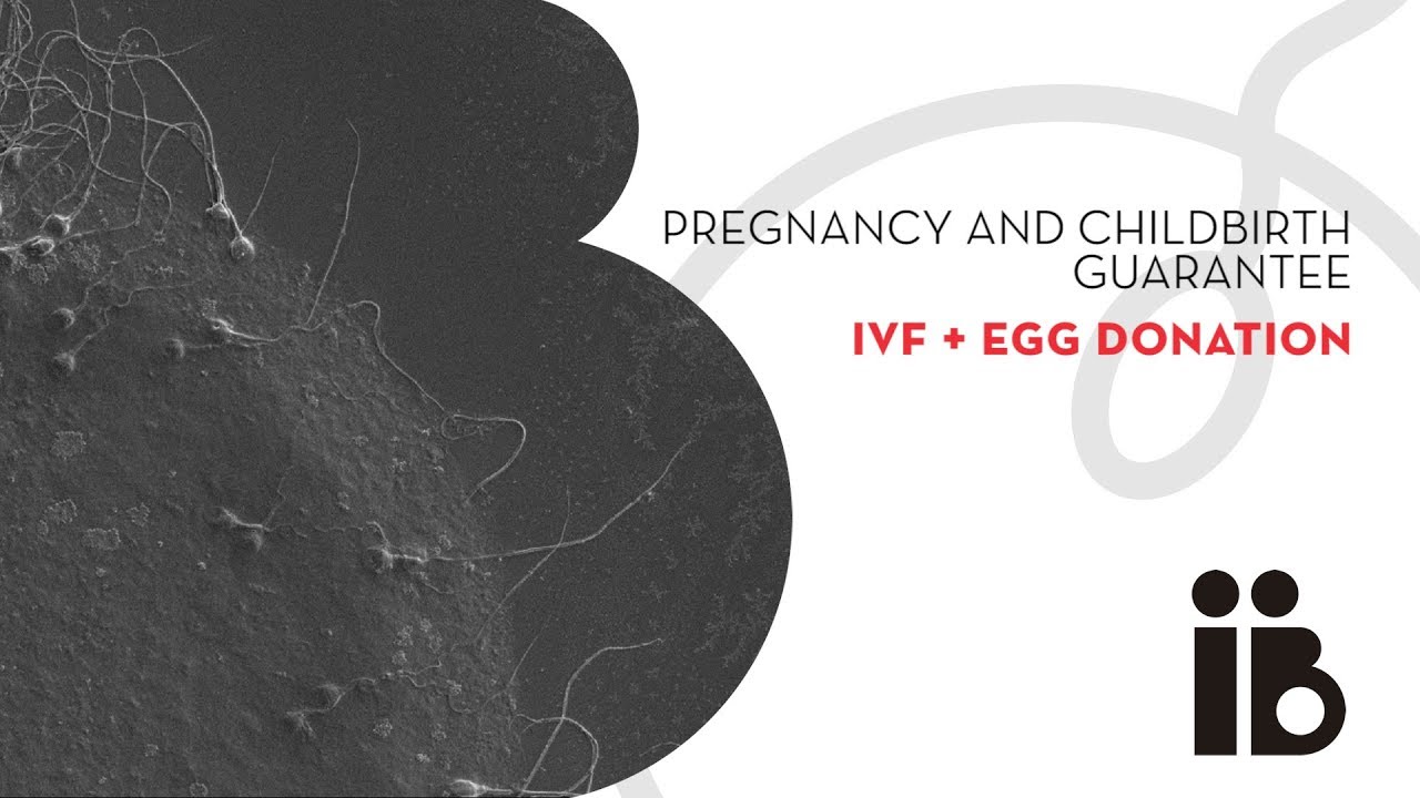 Pregnancy and childbirth guarantee. IVF + egg donation