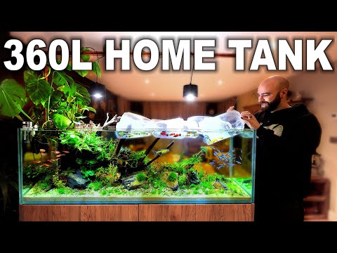 Building A Home Community Aquarium (FINAL EPISODE)