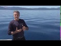 Lake Tahoe Environmental Studies