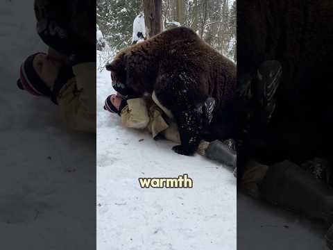 Mother bear and human friendship #rescue #rescue #shorts #shortvideo #bear
