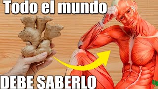 ¿Es seguro tomar jengibre todos los días? Descúbrelo aquí