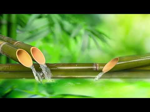 Soothing Relaxation Music, Relaxing Piano Music, Sleep Music, Water Sounds, Relax Music, Meditation