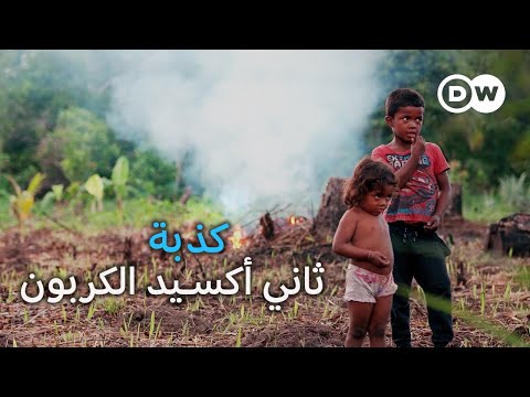 وثائقي | التعويض الكربوني: هل مشاريع الشركات الكبرى "الخضراء" مفيدة بيئياً؟ | وثائقية دي دبليو