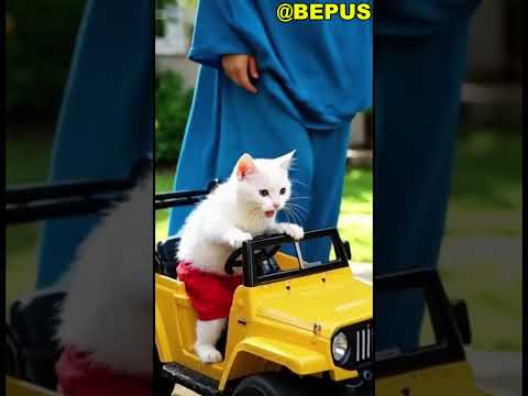 KUCING KECIL LUCU JATUH DARI MOBIL MAINAN #kucingkecillucu #mobilmainan #a #animasi #ai #feedshorts