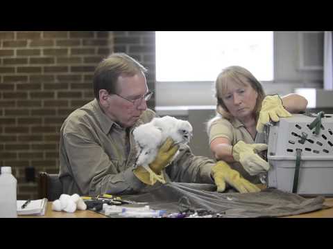 This Week In Focus - June 14, 2013 thumbnail