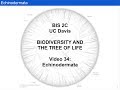 Echinoderm Characteristics and Functions