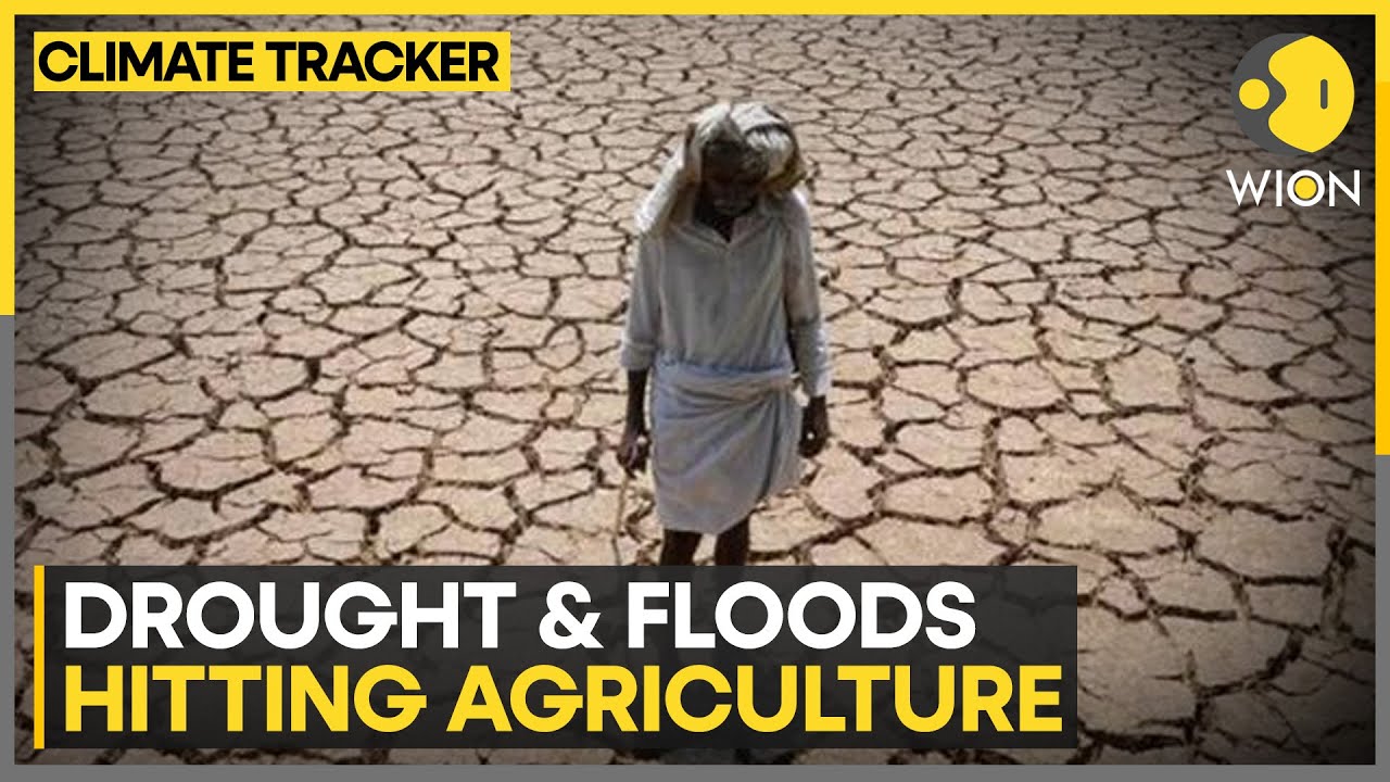 Climate change causing world hunger | WION Climate Tracker