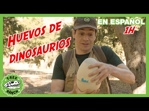 Huevos de dinosaurios de broma en el parque 🥚🤪 | Videos de dinosaurios y juguetes para niños