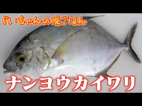 シマアジより美味しいと噂の『ナンヨウカイワリ』を捌いてみた！！