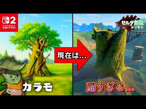 【考察】カラモの現在の姿に涙が止まらない...酷すぎる真実を徹底考察します。【ゼルダ無双封印戦記】