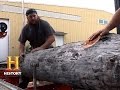Sawmill Operation Challenges and Insights