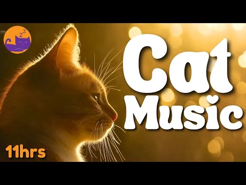 11 Hours Sleep Music for Cats - Calming Music for All Cat Breeds ✨🐱