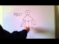Understanding the Rule of Nines