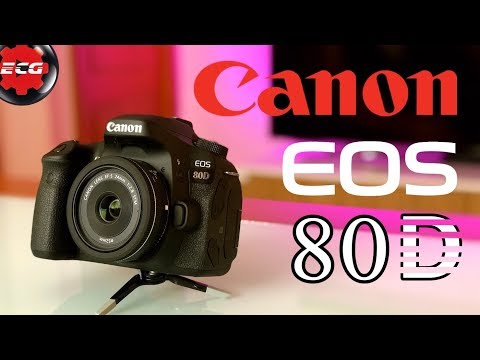 (SPANISH) Mi Canon EOS 80D + objetivos que uso