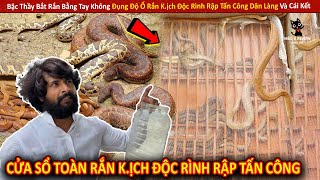 Bậc Thầy Bắt Rắn Bằng Tay Không Đụng Độ Ổ Rắn K.ịch Độc Rình Rập Tấn Công Dân Làng Và Cái Kết