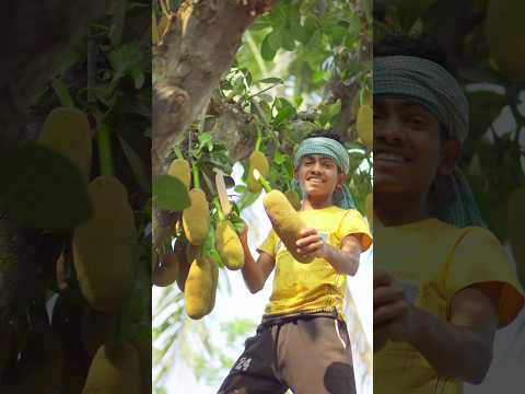 Baby Jackfruit Recipe With Chicken | Echor Masala Curry Cooking With Village Style.