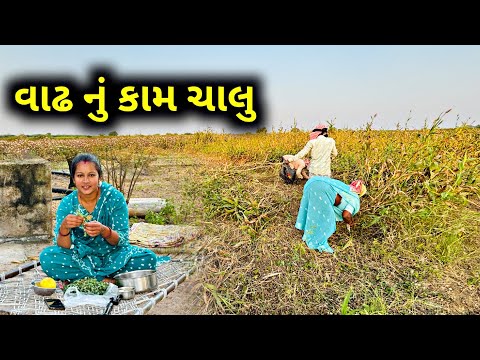 વાઢ નુ કામ ચાલુ..🧑‍🌾  Vaadh Nu Kaam Chalu